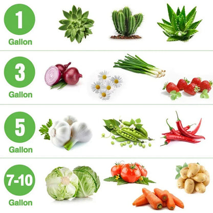 Fabric Plant Pots Grow Bags 3/5/7/10 Gallon Gardening Vegetable Tomato Strawberry Growing Planter Garden Potato Planting Pots